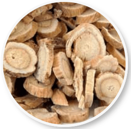 Organic Astragalus Root Extract - Immune-Boosting Herbal Supplement | Beliv